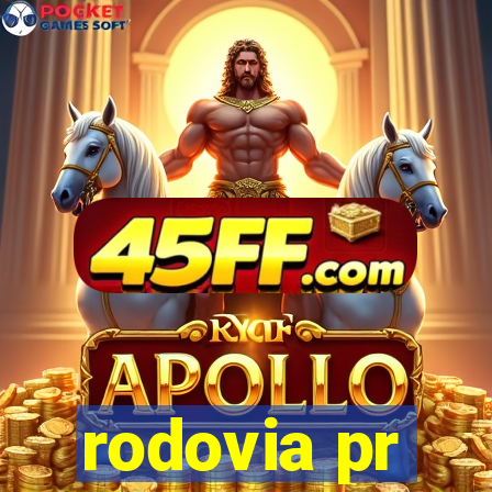 rodovia pr-317 km 155 onde fica
